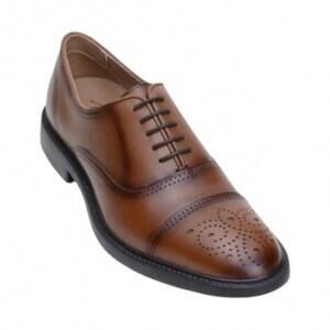 NEW BELVEDERE men's vincenzo loafer in honey